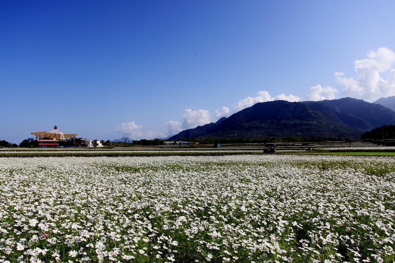 Lowkey B&B Fuli Dış mekan fotoğraf